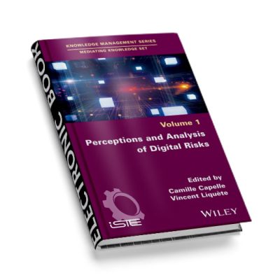 Perceptions and Analysis of Digital Risks