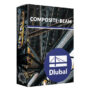 Dlubal COMPOSITE-BEAM v8.3 x64 for PC Windows
