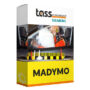 TASS MADYMO crash safety simulation interface