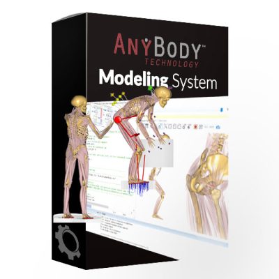 AnyBody Modeling System v8 |Biomechanics Simulation Software