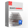 BUNITS BARBOX reinforced concrete design software interface